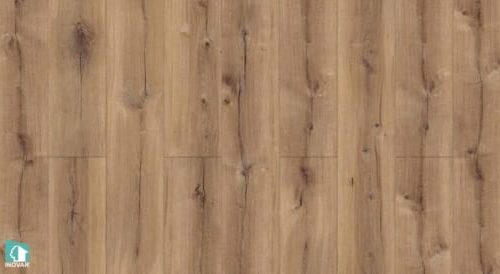 Sàn gỗ công nghiệp Inovar 8mm IV321 Templar