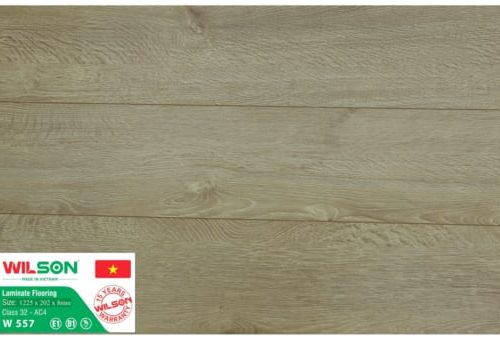Sàn gỗ công nghiệp Wilson W557